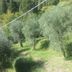 Sonstige