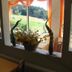 Sonstige
