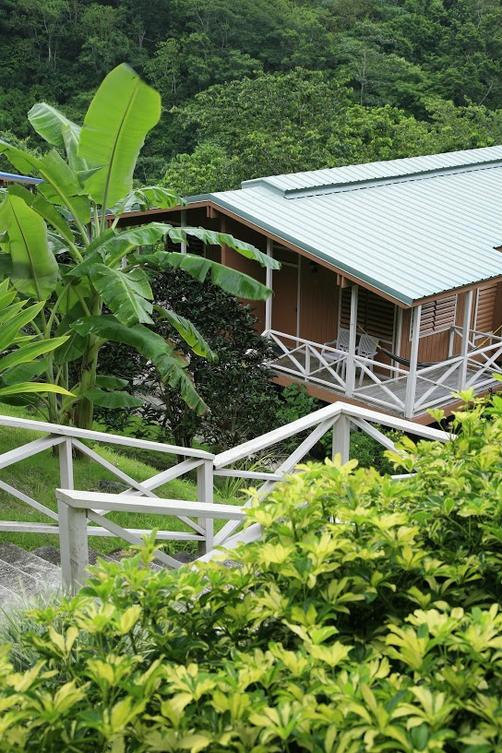 Casa Grande Mountain Retreat - Utuado