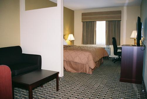 Comfort Inn - Olathe - King-Schlafzimmer