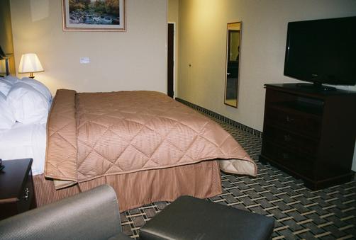 Comfort Inn - Olathe - King-Schlafzimmer