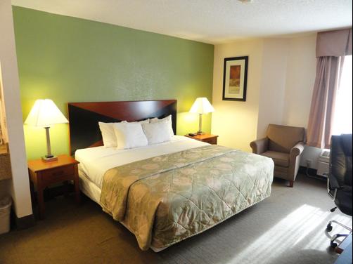 Sleep Inn Northlake - Charlotte - King-Schlafzimmer