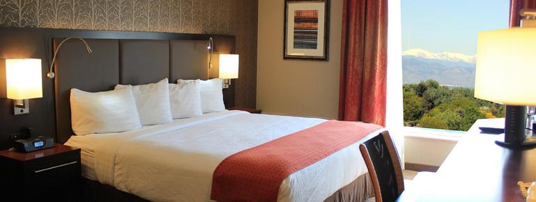 Holiday Inn Denver-Cherry Creek - Denver - Schlafzimmer