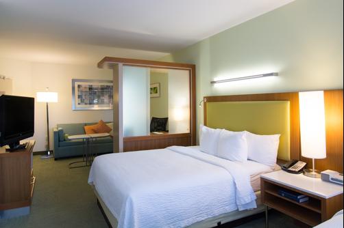 SpringHill Suites by Marriott Columbia Downtown The Vista - Columbia - King-Schlafzimmer