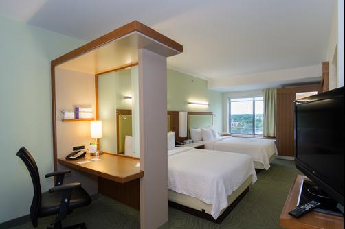 SpringHill Suites by Marriott Columbia Downtown The Vista - Columbia - Queen-Schlafzimmer