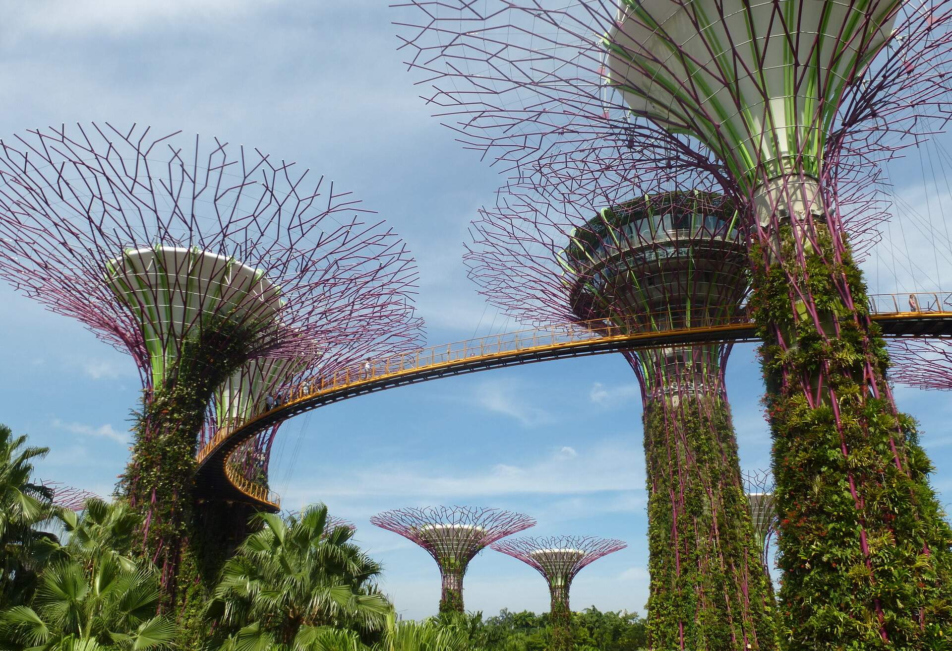 Garden Bay SINGAPORE.; Shutterstock ID 679006408