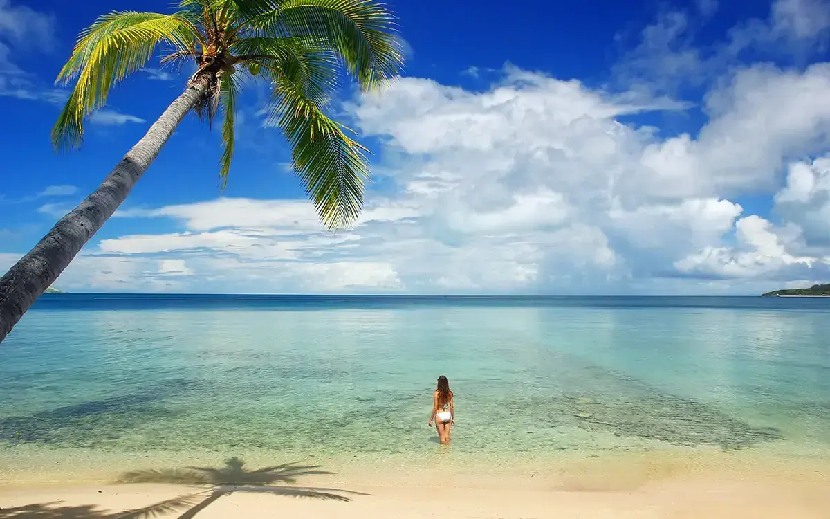 ©Don Mammoser/Shutterstock.com