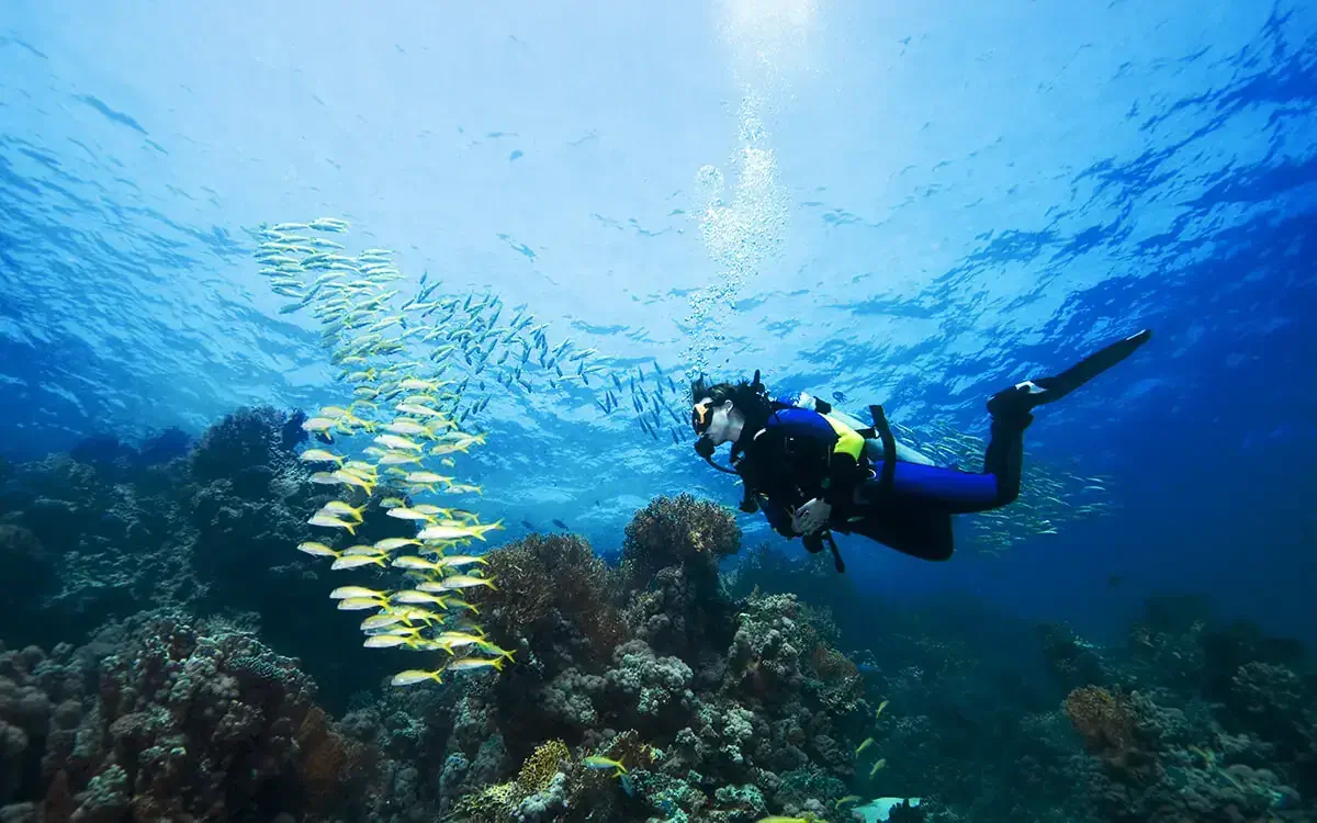 Taucher im Roten Meer