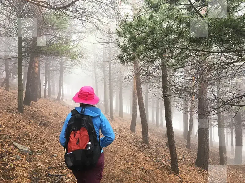 Eine Frau wandert in den Wäldern von Las Alpujarras, Spanien