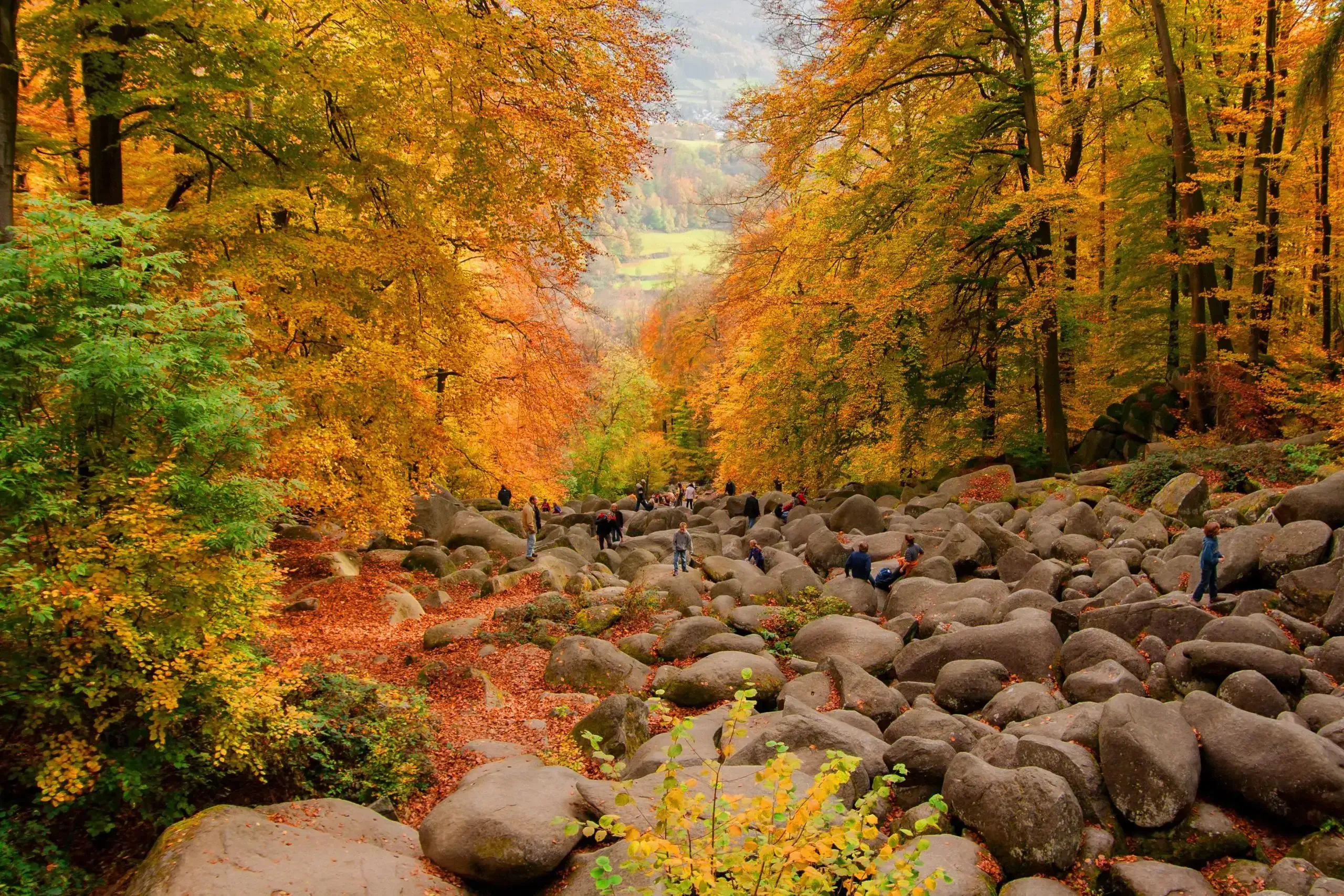 Tourists of various ages wander on a pile of boulders surrounded by lush tall trees in autumn.