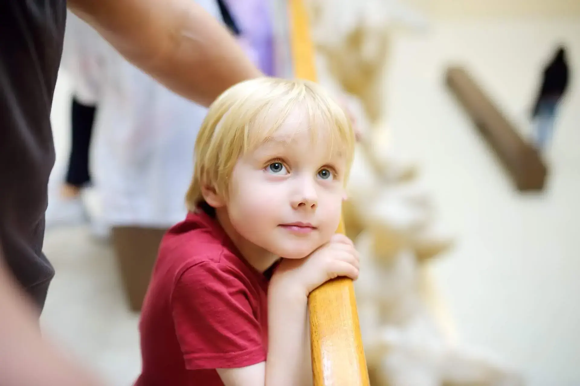 A young boy leaning on wooden hand rail while gazing upward.

