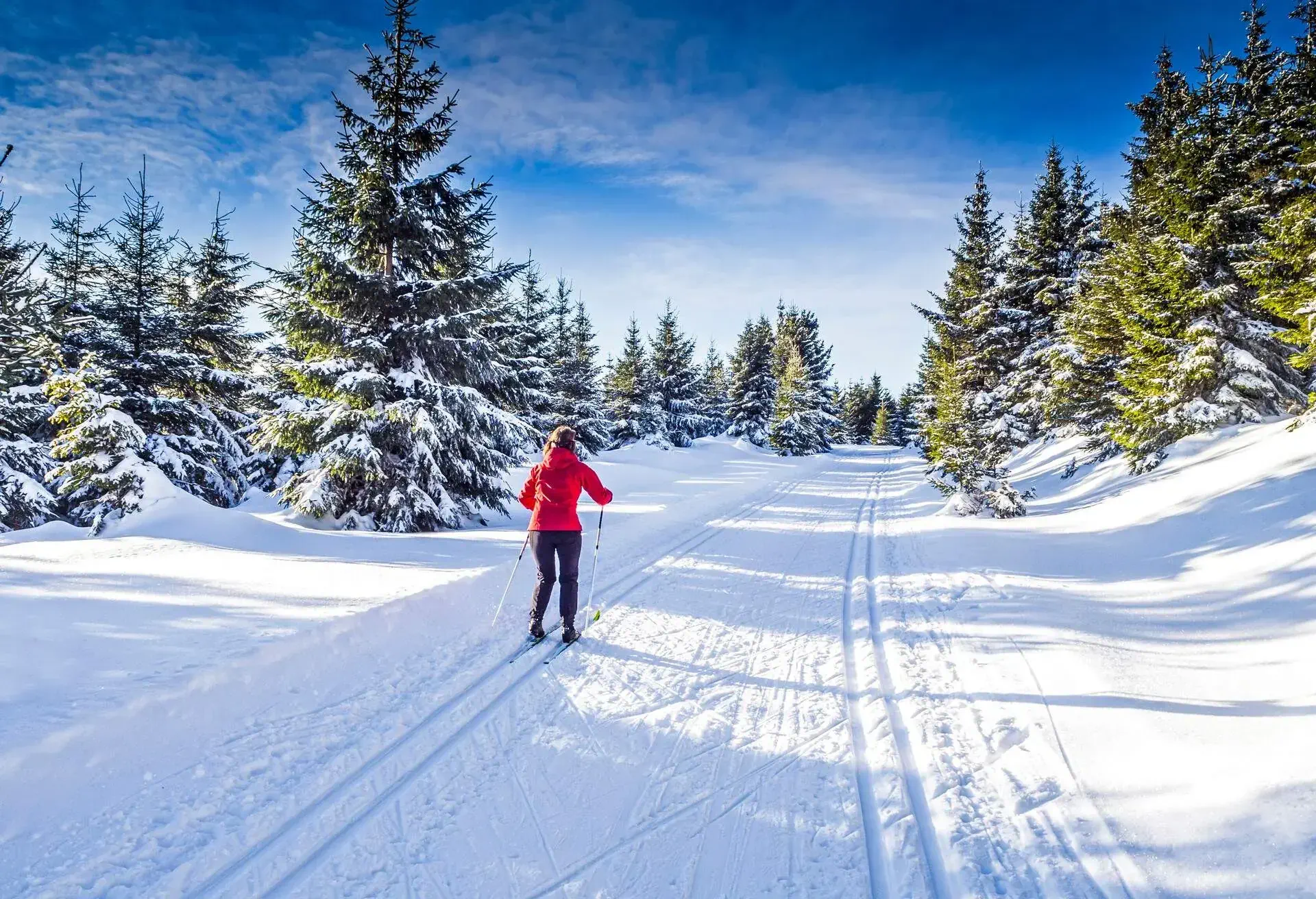 Woman wearing red ski jacket skiing cross country on a snowy path surrounded by trees on a sunny day