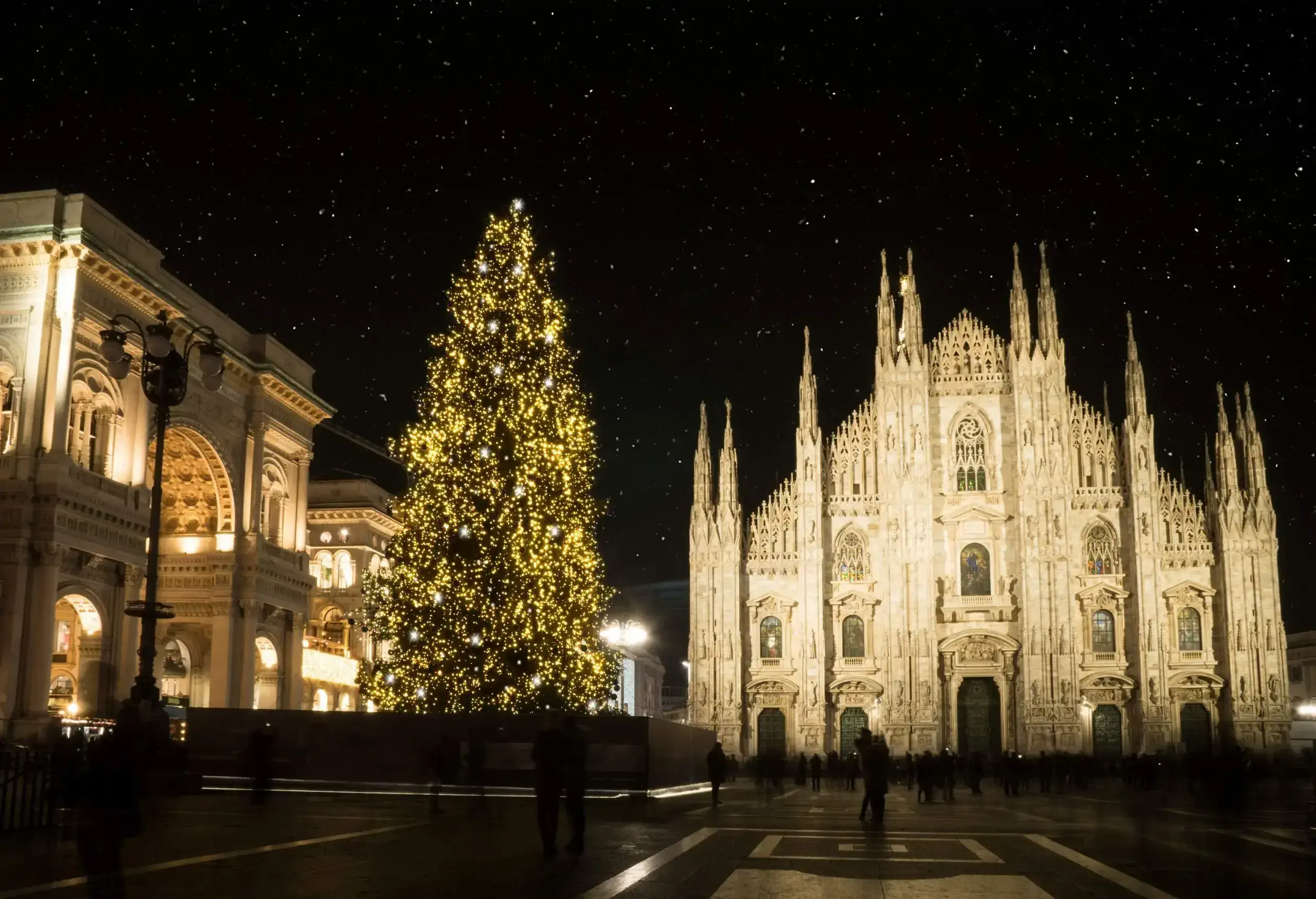 Christmas tree in front of Milan cathedral, Duomo square in december, night view. Starry sky.