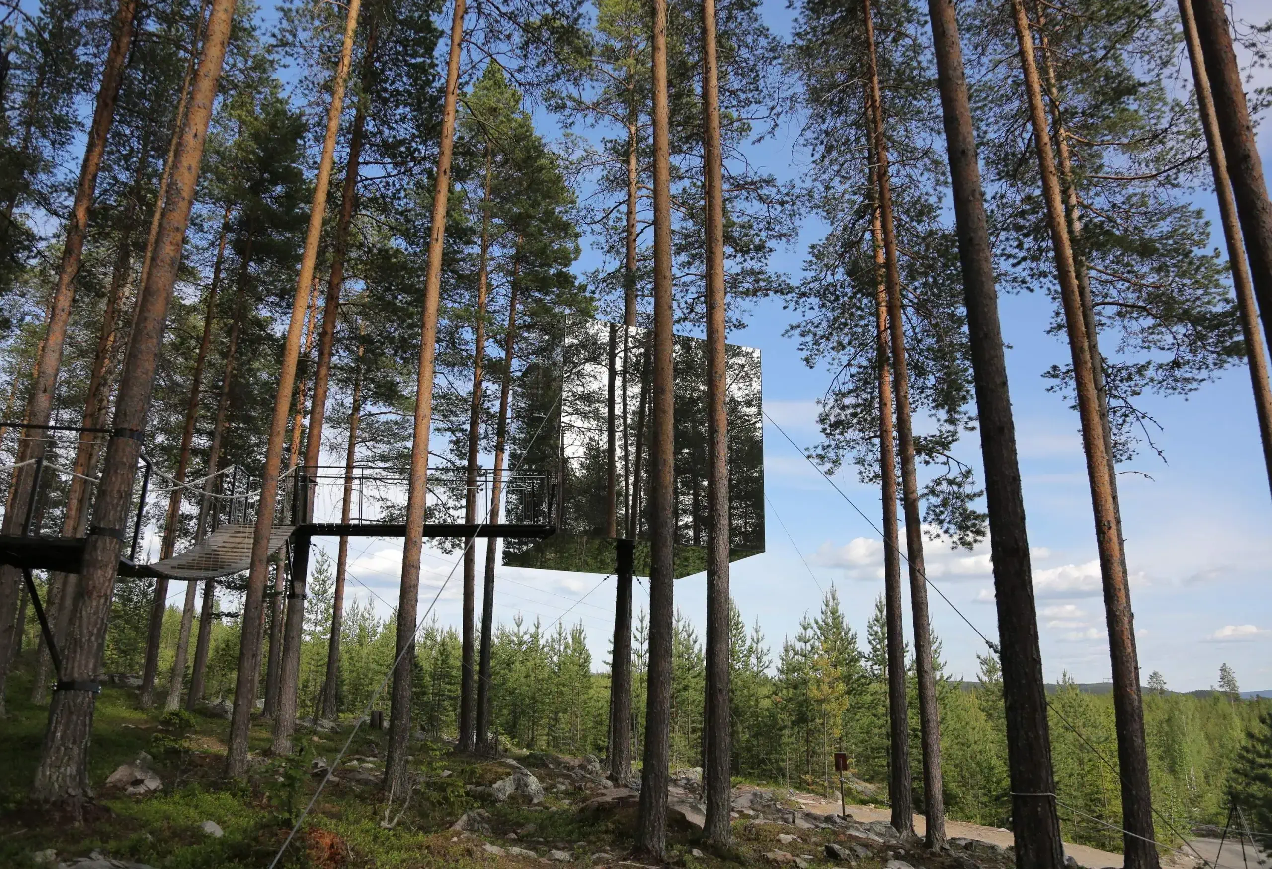 A modern box-shaped glass tree house in the middle of the woods surrounded by towering green trees.