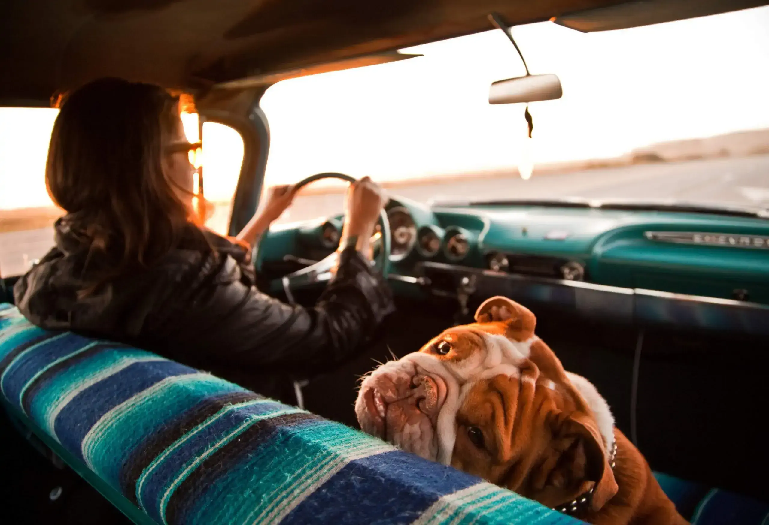 A woman driving a car with a dog sitting on the passenger seat