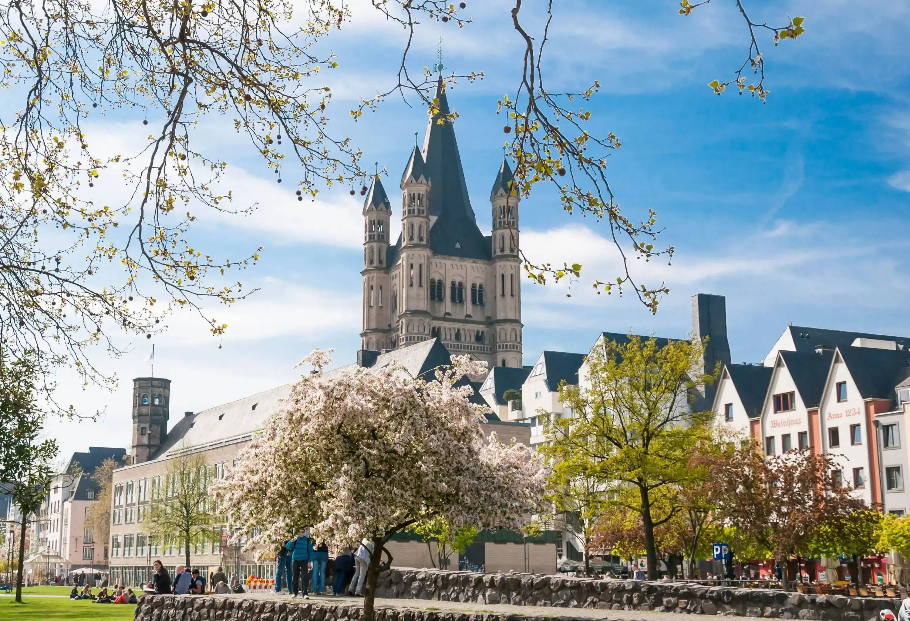 Urban park in spring with cathedral in the background