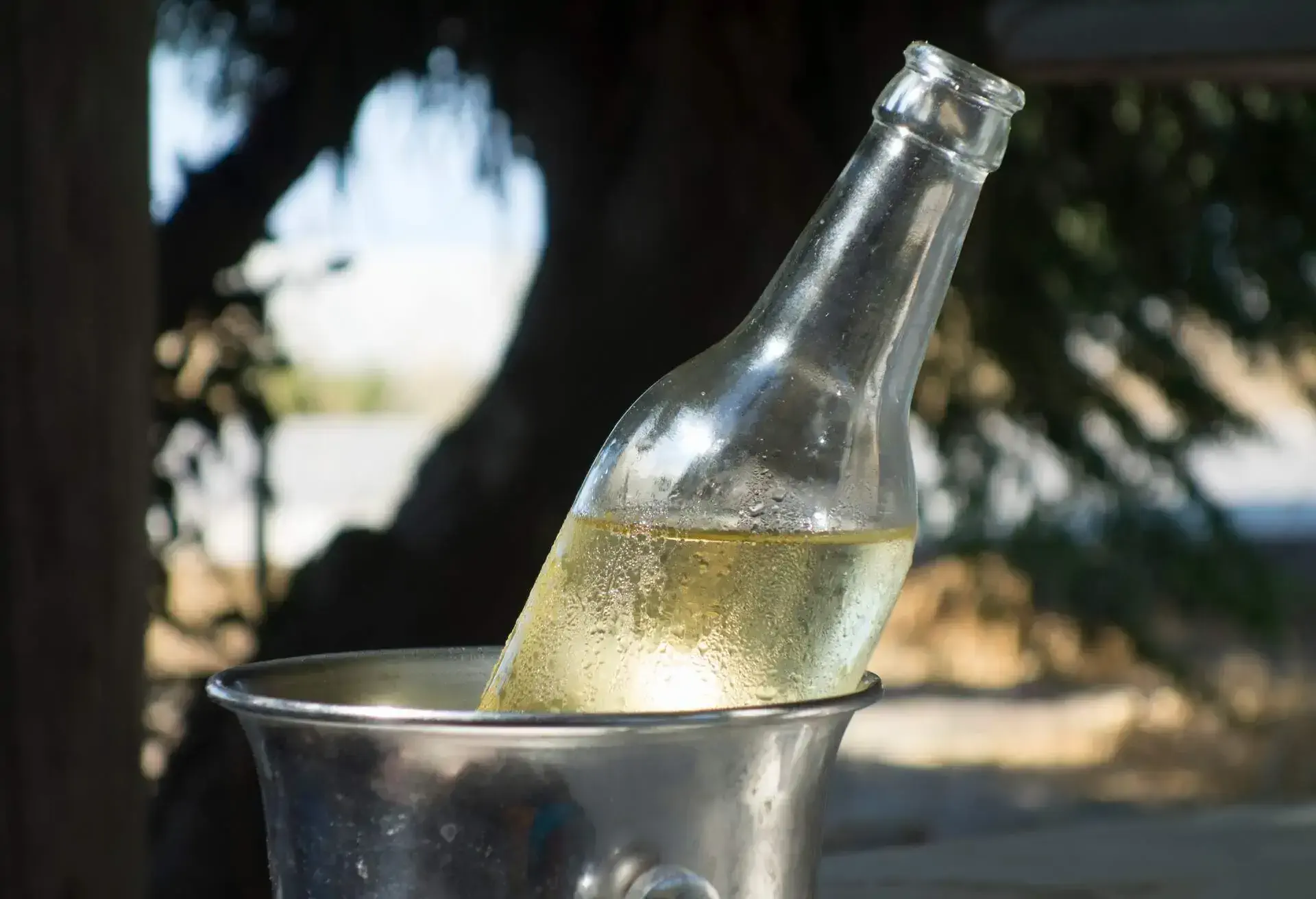 Bottle of Retsina in a cooler