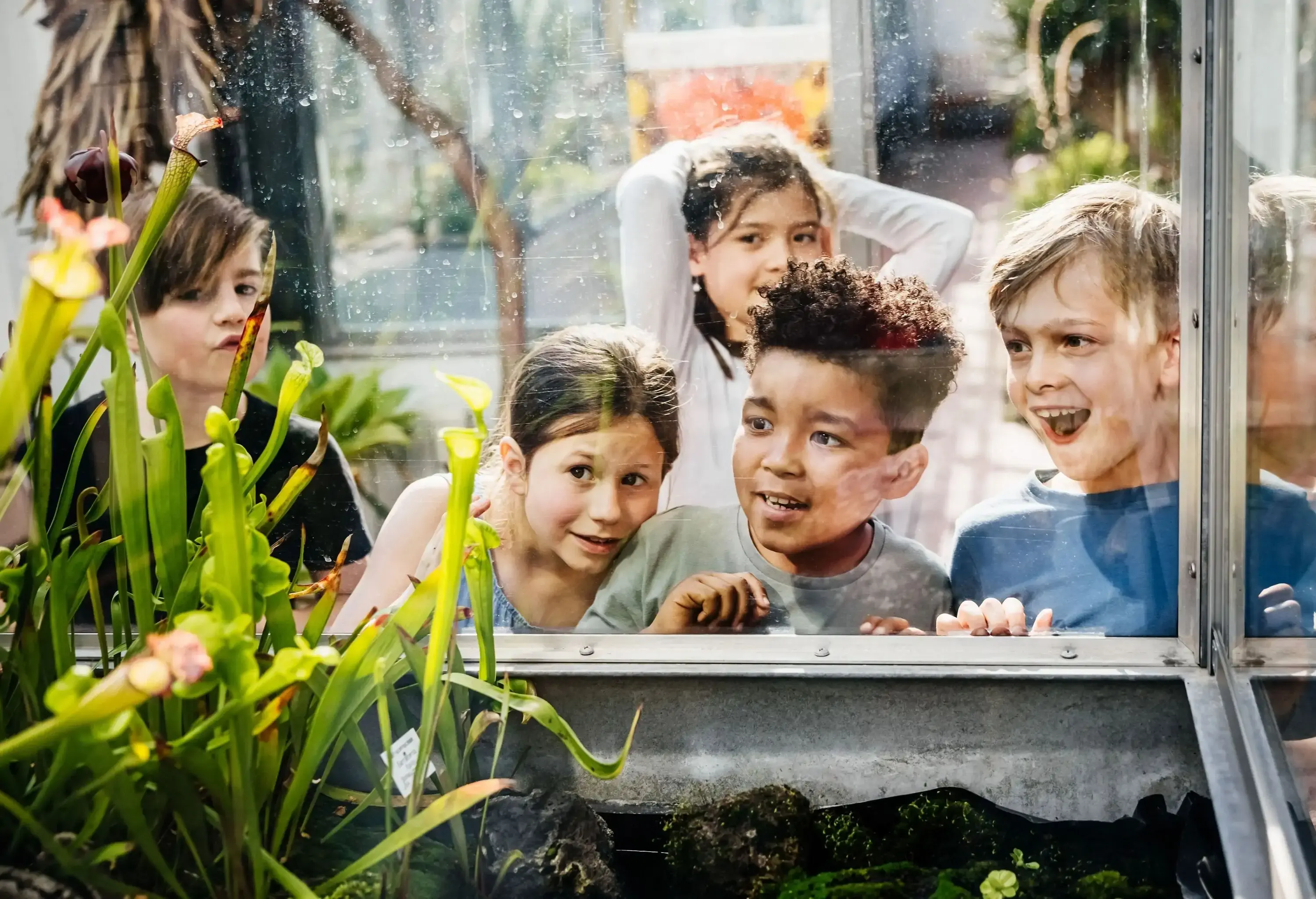 A group of kids enjoy watching a display of exotic plants inside a glass greenhouse.