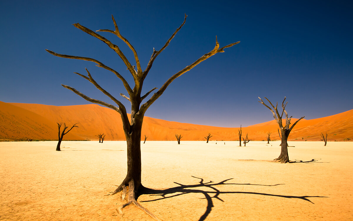 Flitterwochen Namibia