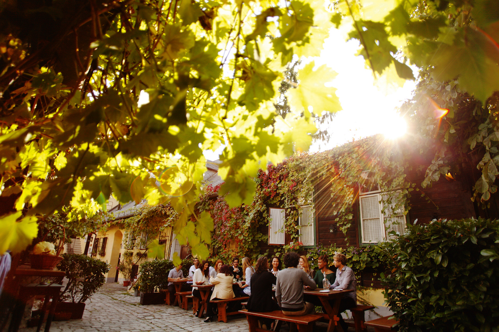 Heuriger in Wien: Herbstlaub und Weingenuss bei Schübel-Auer
