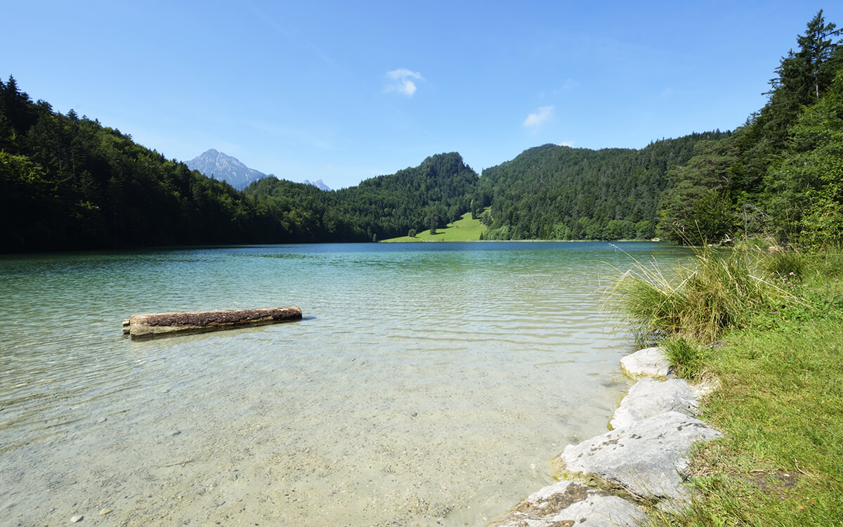 Blick auf den Alatsee im Ostallgäu