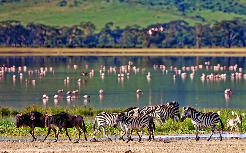 Tansania Walking Safari