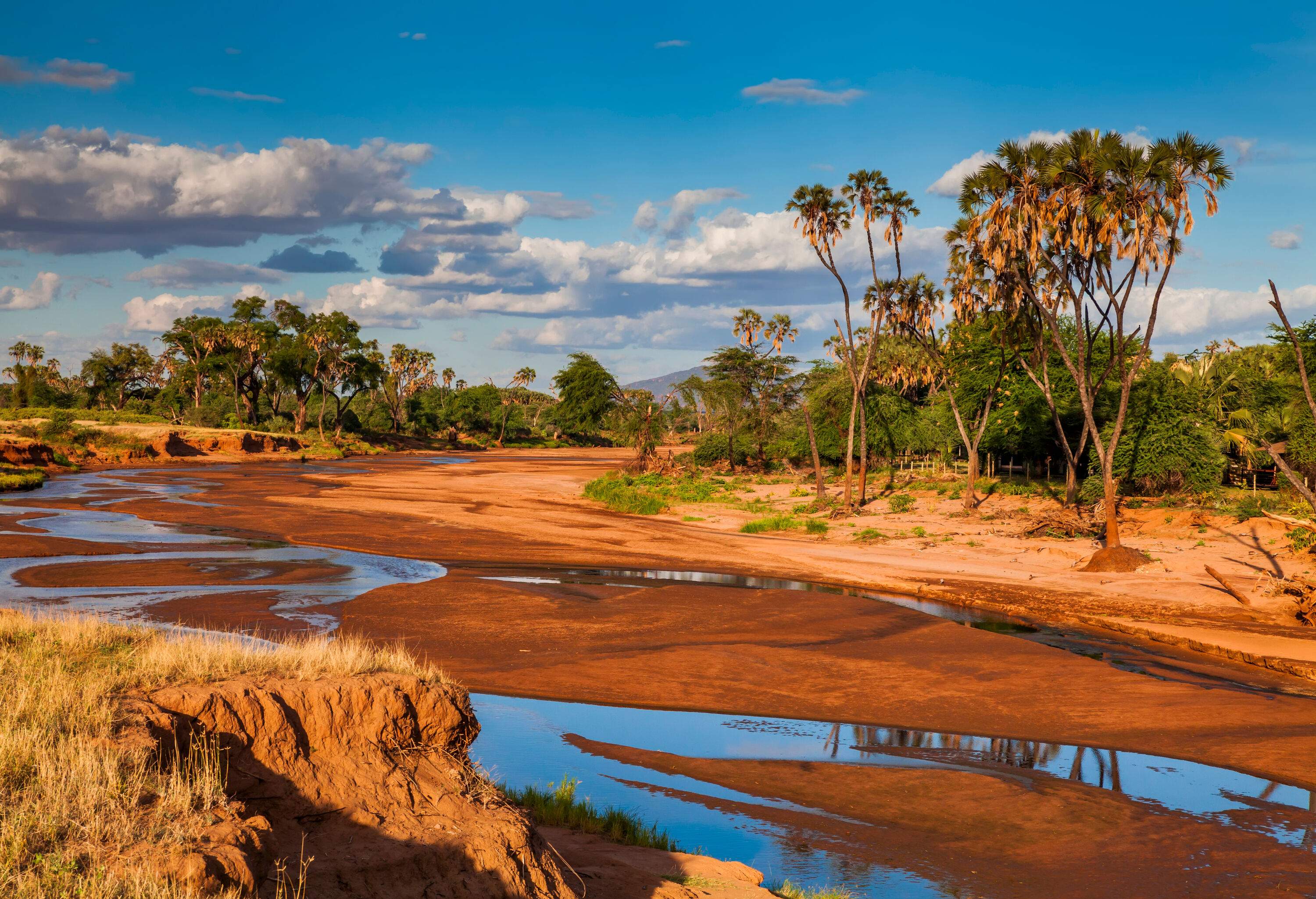A low-volume river across a dry land with dried grass and groves of trees.