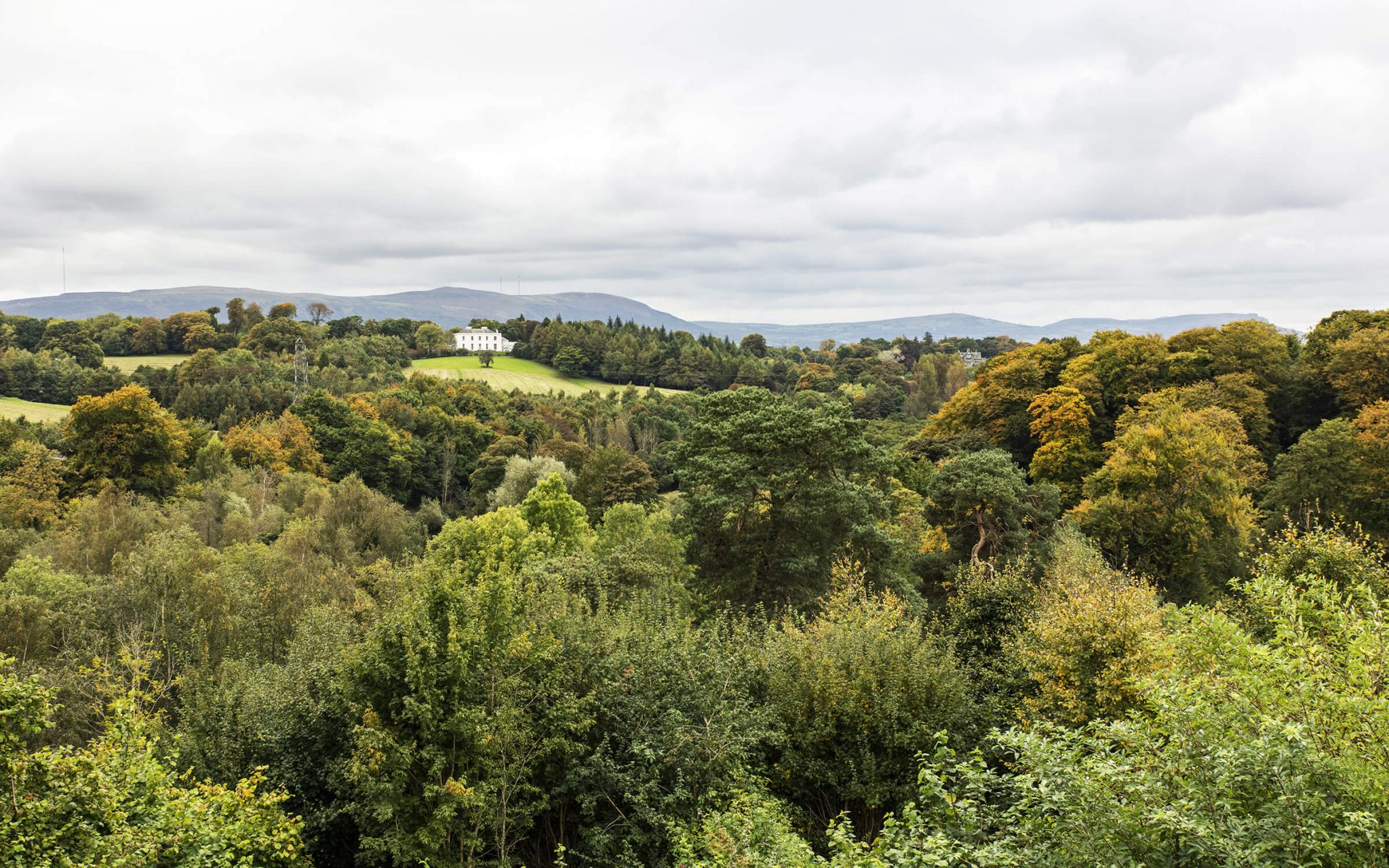 Wandern Irland Divis Ridge Trail