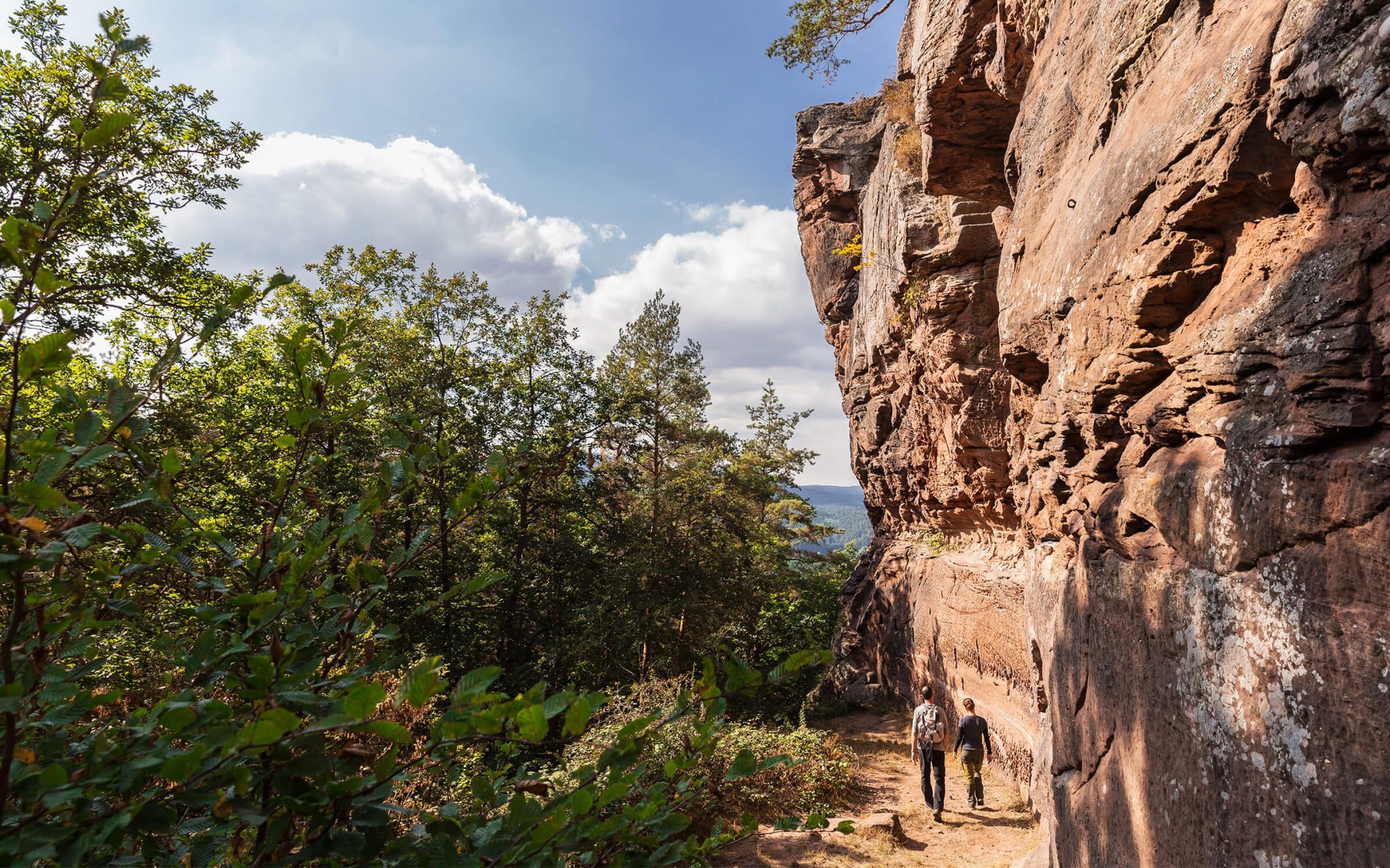 Wandern Pfalz Bärensteig