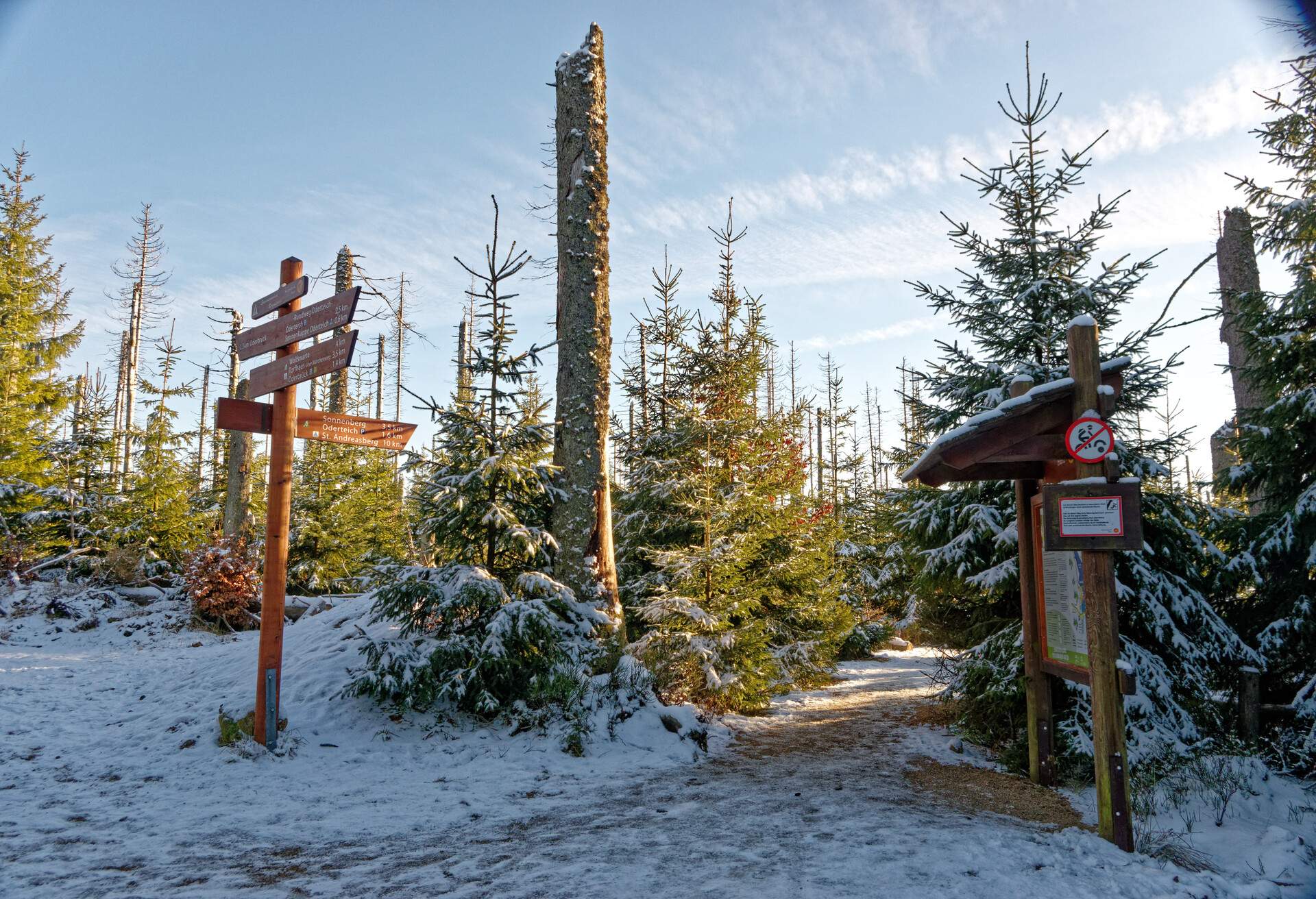 Road signs on a wooden post next to a snag surrounded by trees in a snow-covered village.