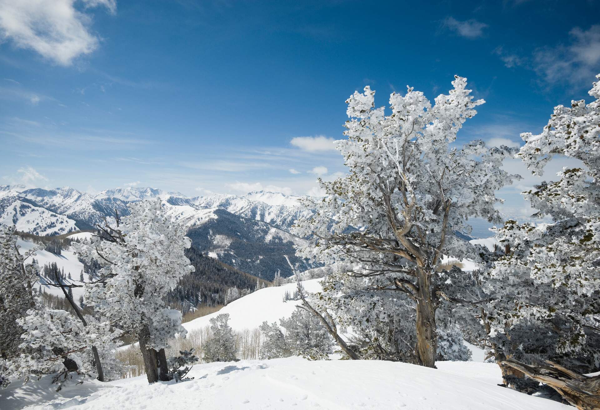 A vast thick snowfall covers the lush mountain ranges and trees.