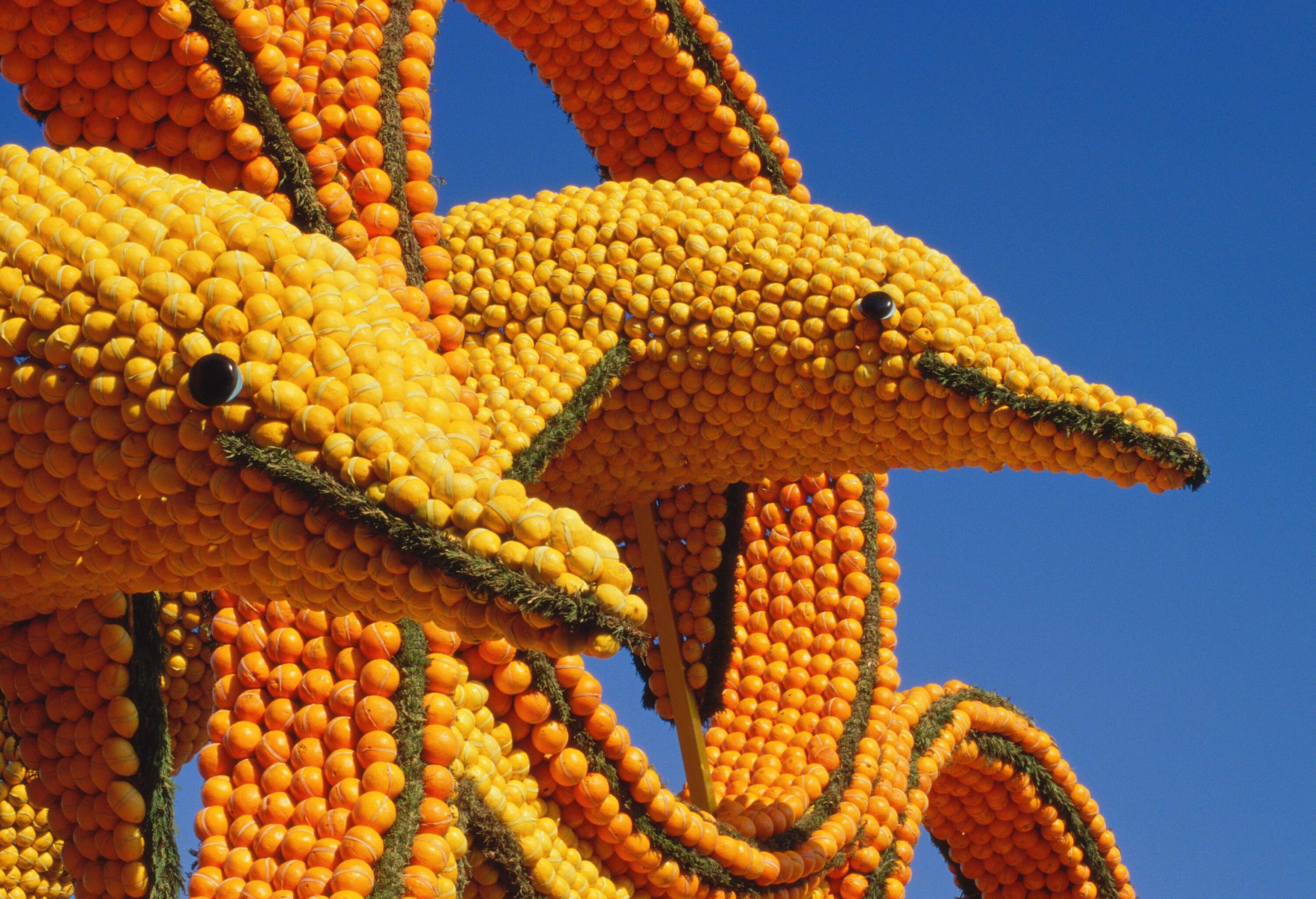 Dolphin shaped scultpure made out of oranges and lemons in Menton's Fete du Citron, France