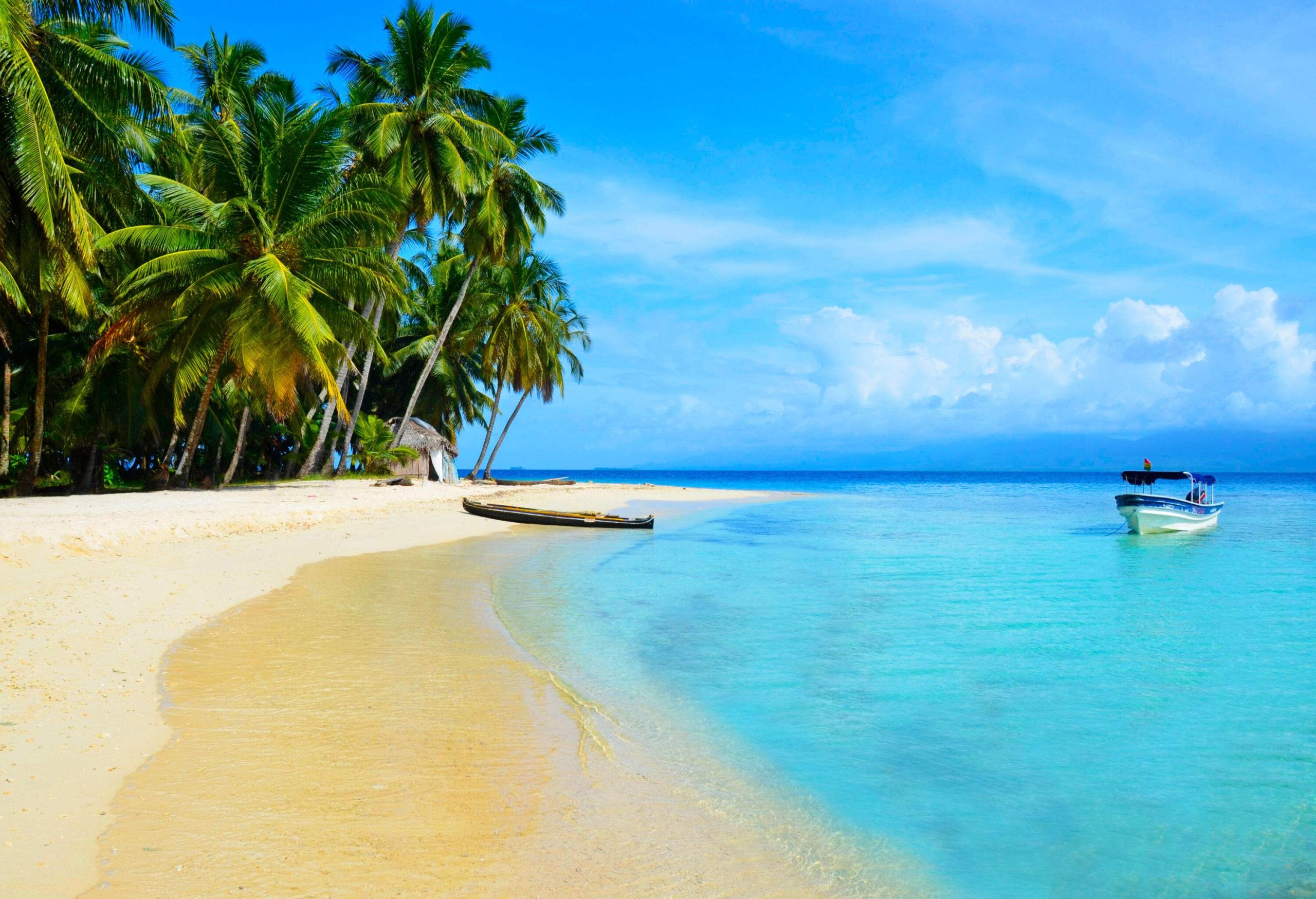 A beach along a grove of palm trees with a boat floating on turquoise waters.