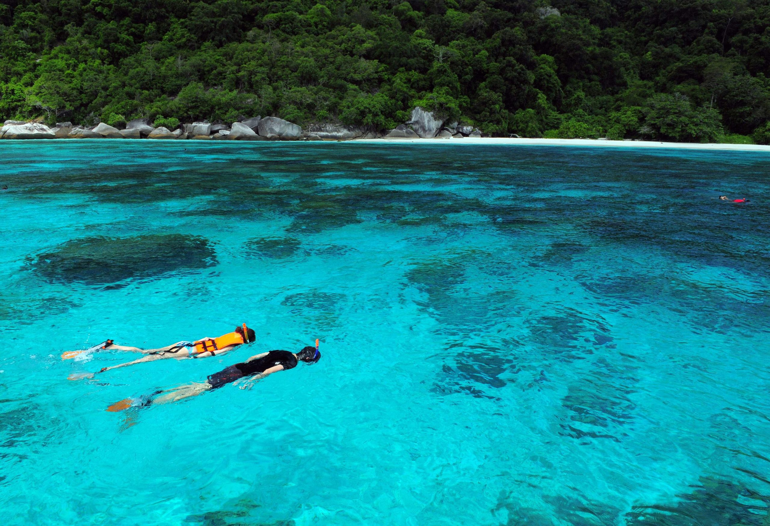 Two people snorkel in turquoise waters surrounded by forested islands.
