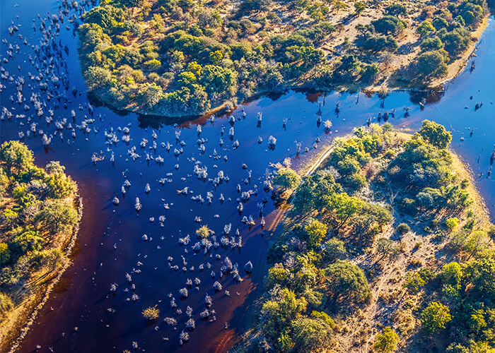 7 unschlagbare Abenteuer, die du nur in Botswana bestehst