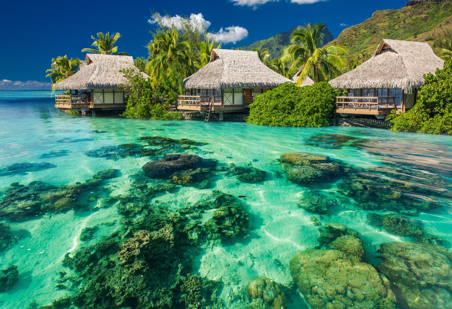 Beautiful above and underwater coral landscape of a tropical resort