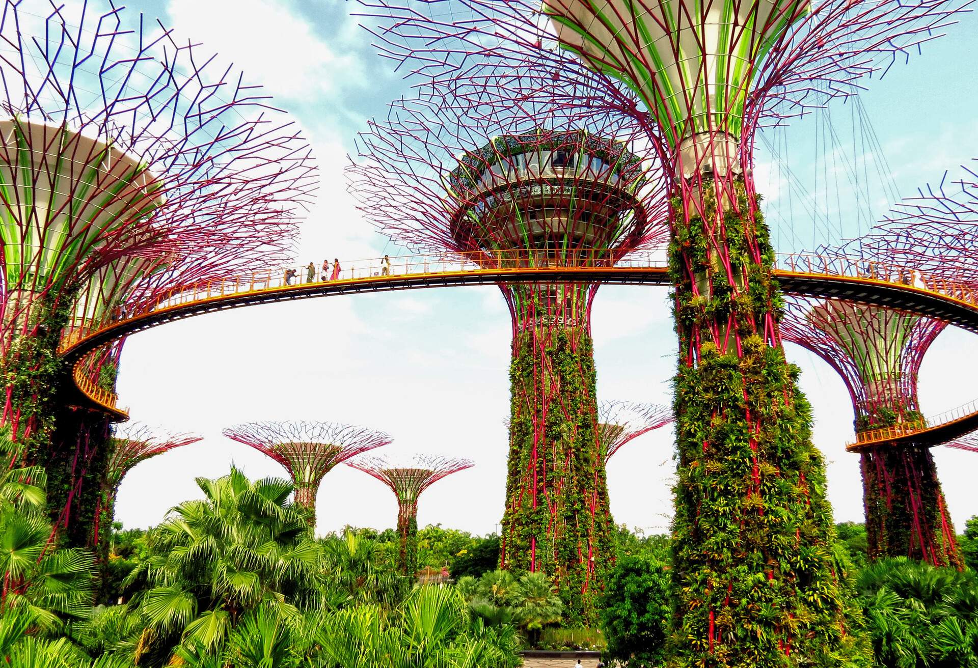 People walking on a bridge in Gardens by the bay in Singapore