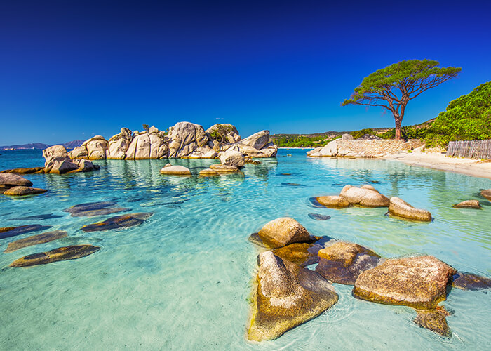 gevision/Shutterstock.com | Palombaggia, Korsika, Frankreich 