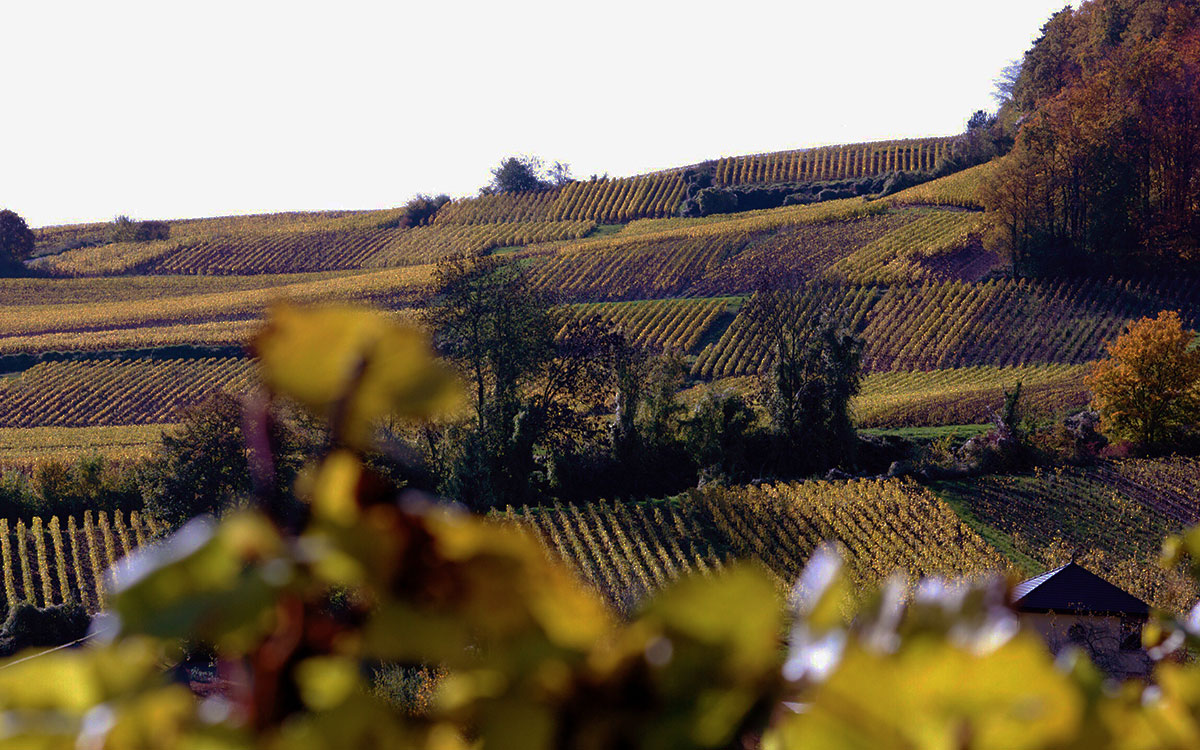 Champagne, Frankreich