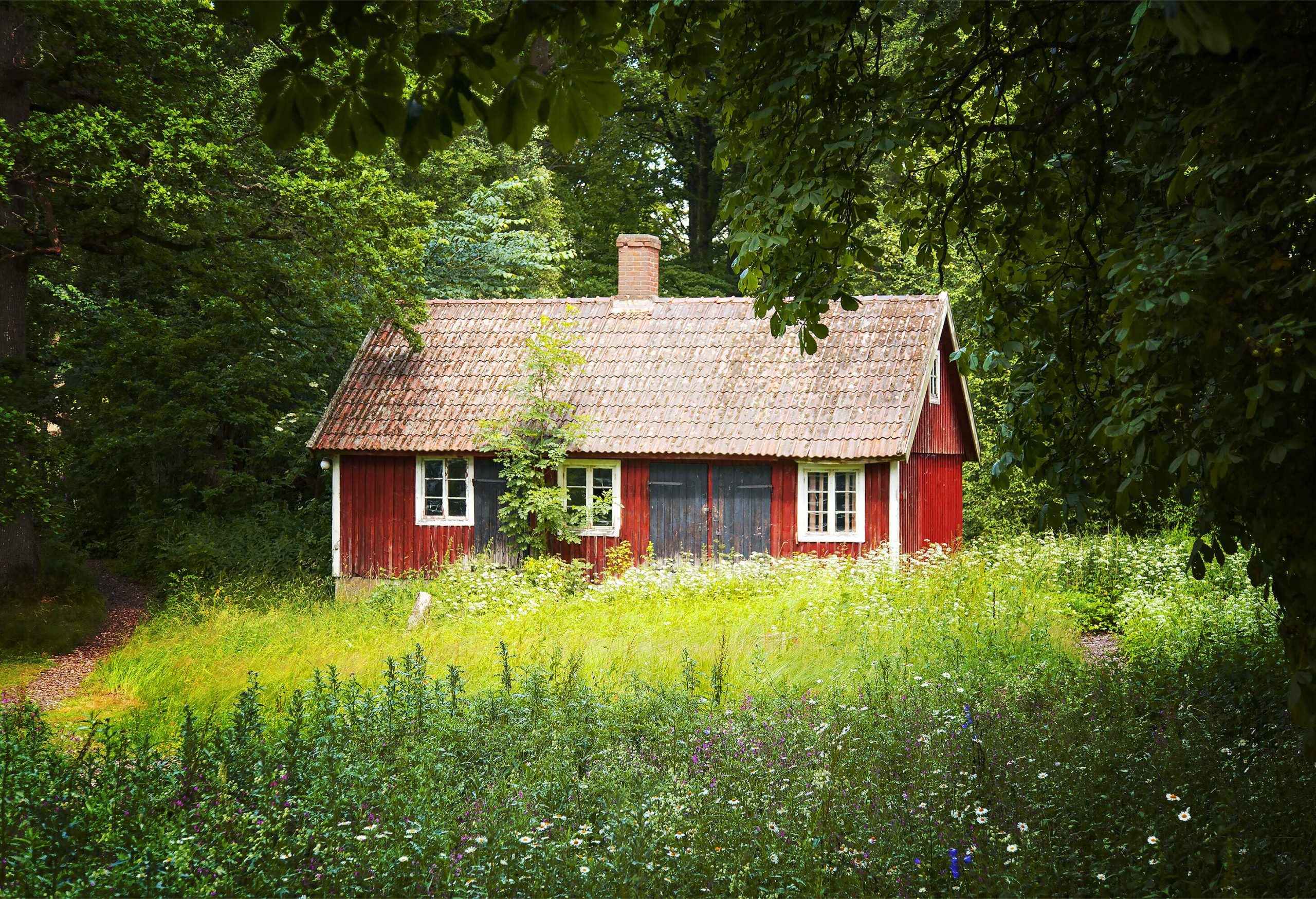 A red cabin with gable roof set in the middle of a forest.