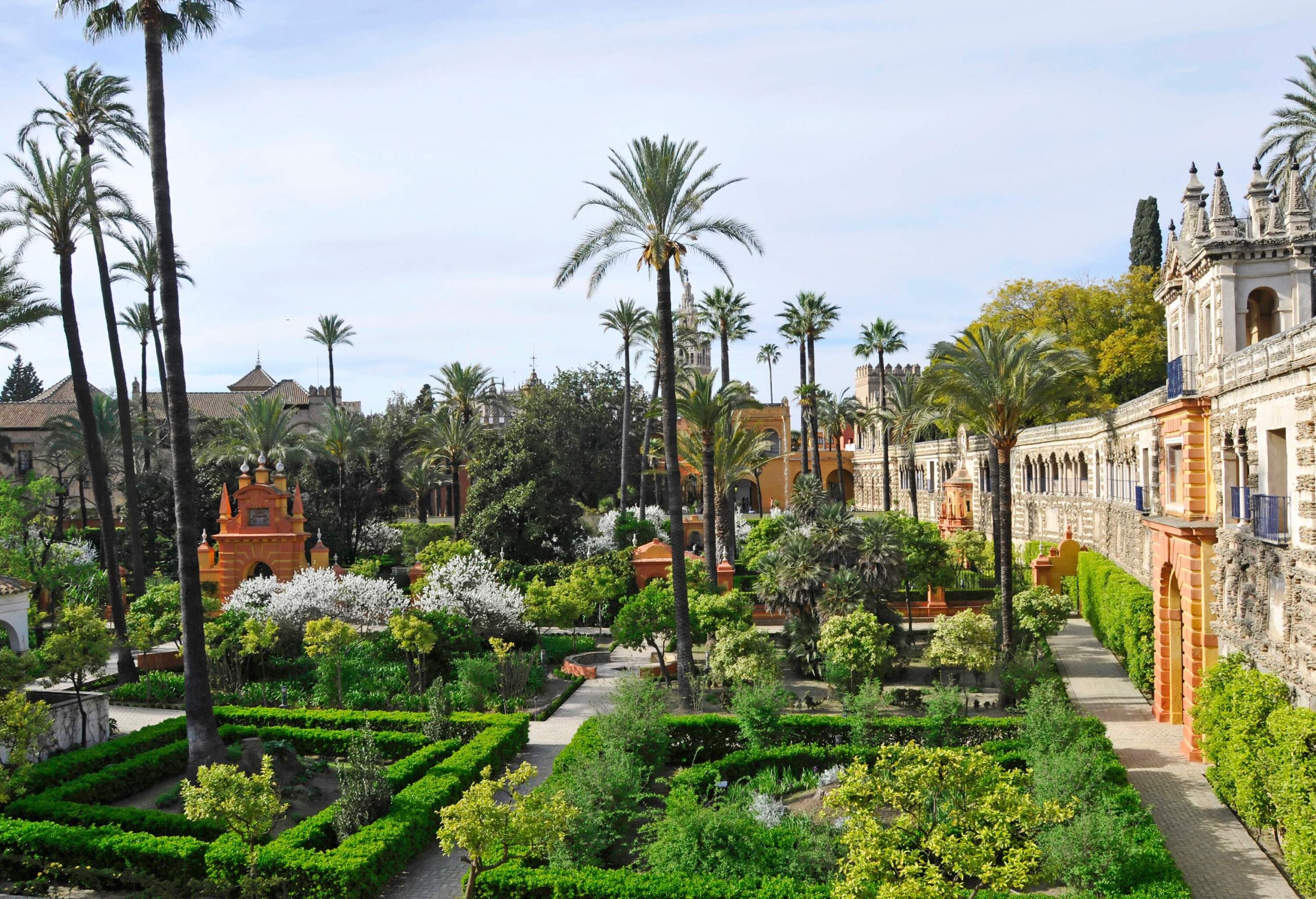 A green space with palm trees and square-shaped gardens.