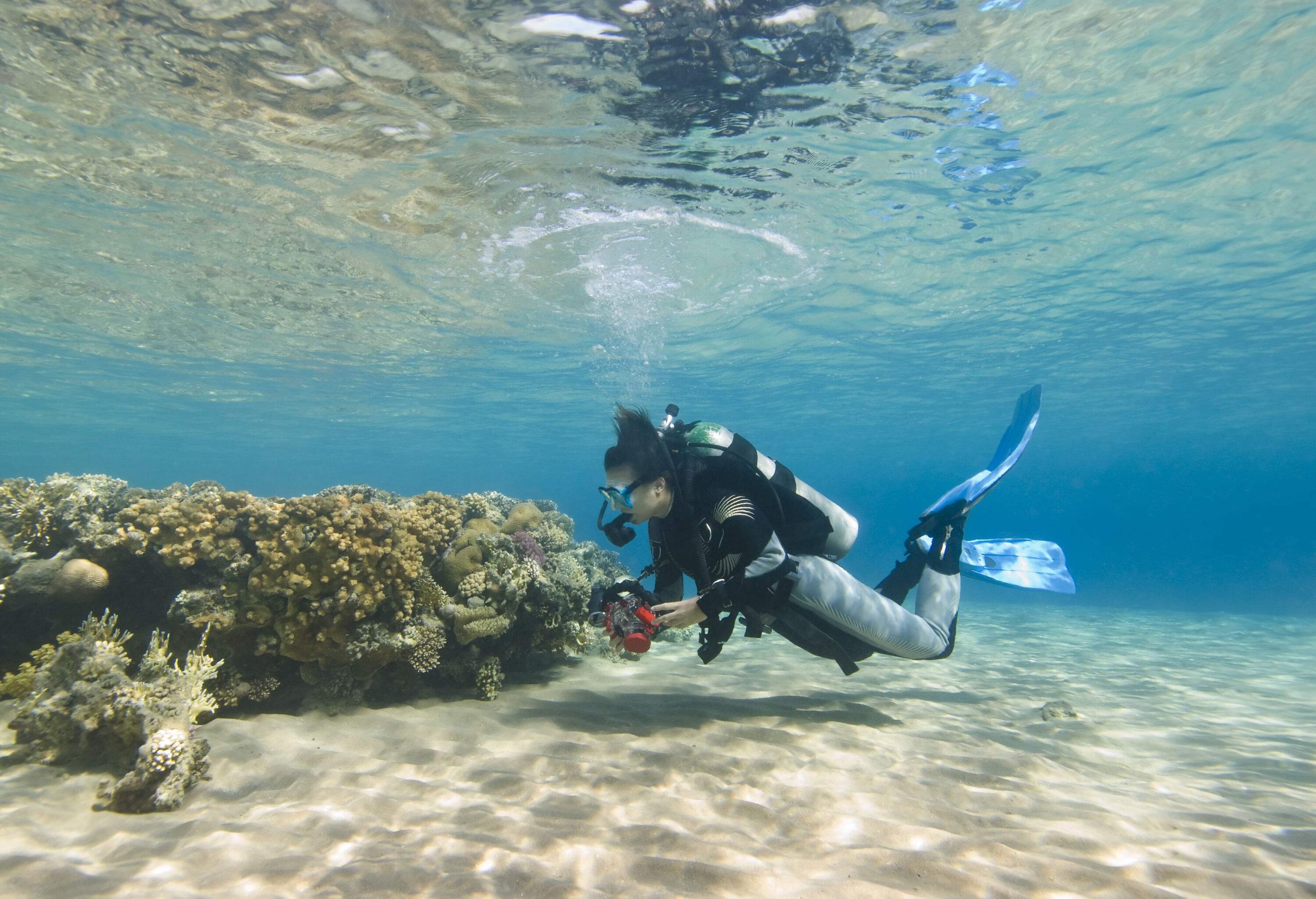 A lady tourist scuba diving along a coral reef on the blue crystalline sea.