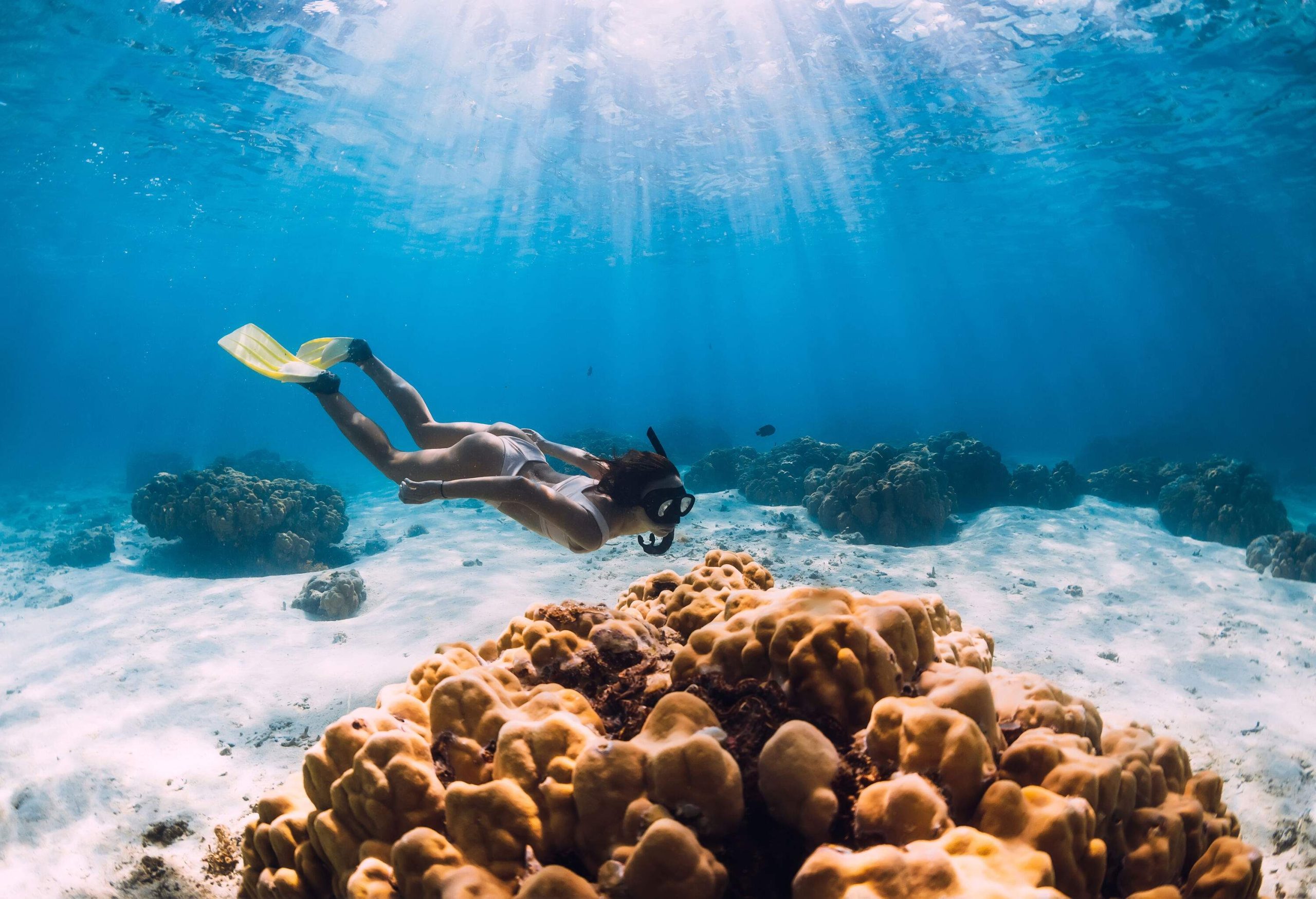A woman diving around the beautiful corals on the seafloor as the sun rays hit the surface of the ocean.