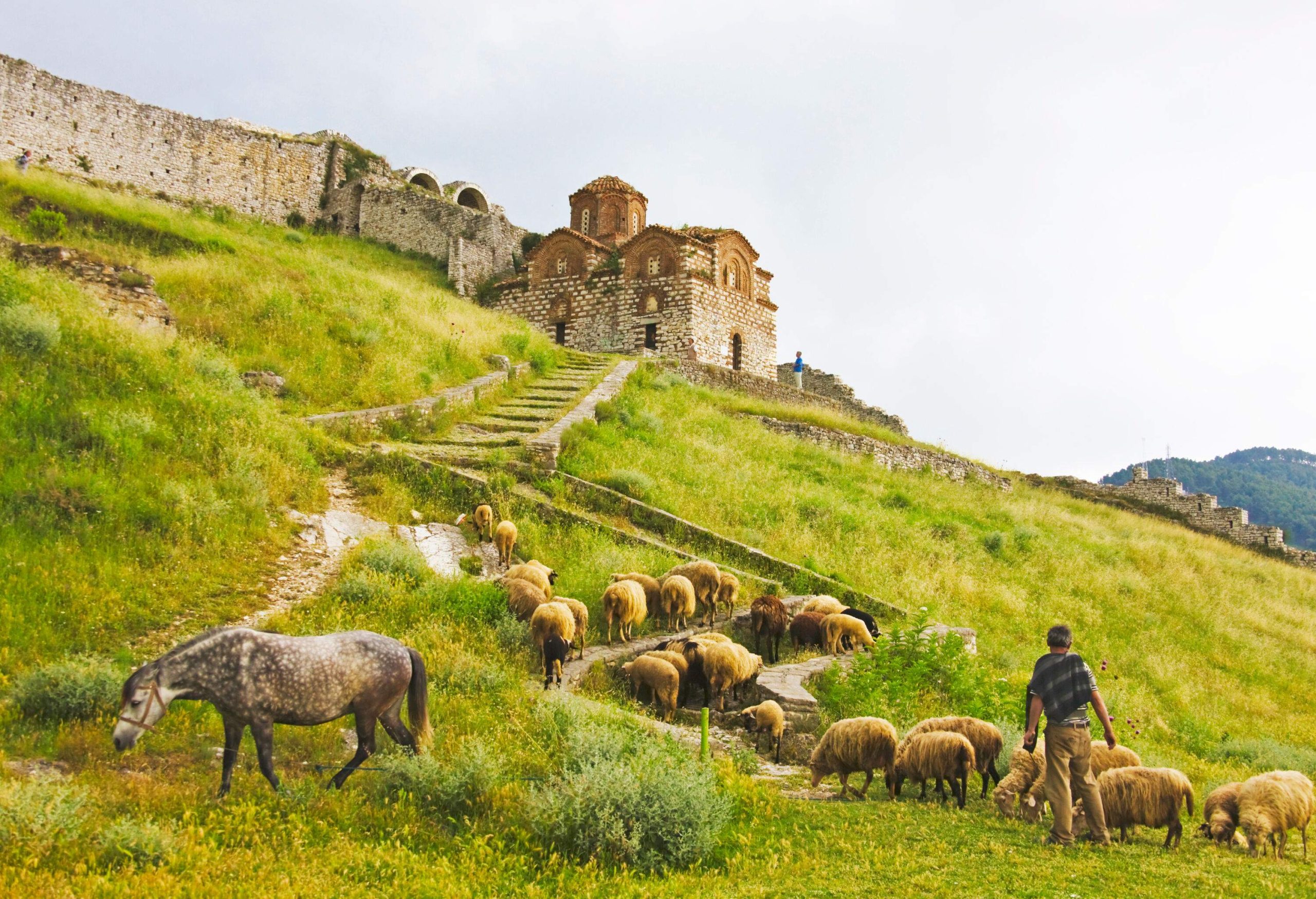 A shepherd watching over a flock of sheep grazing on grassy hills with a staircase towards a hilltop church.