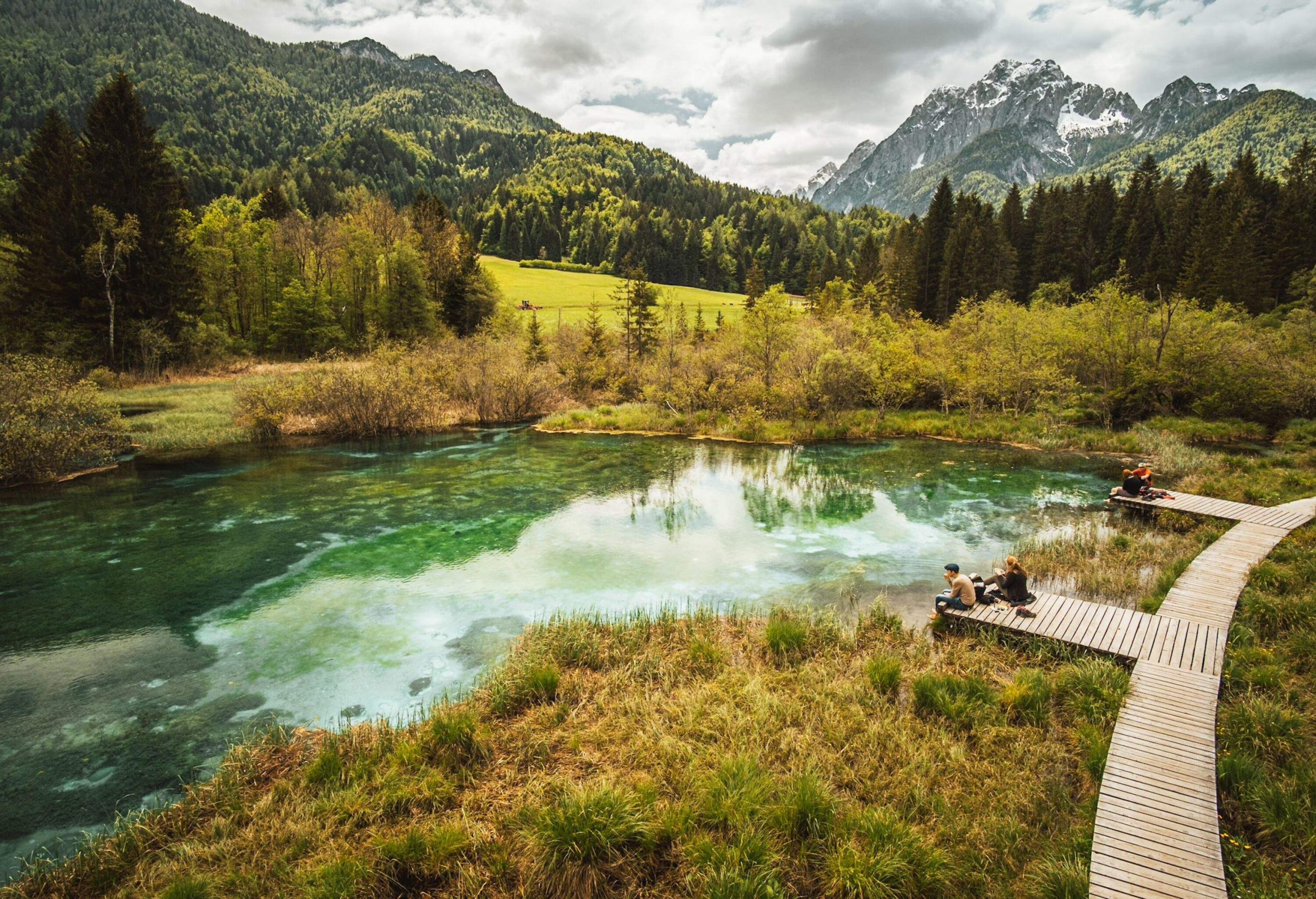 image of Zelenci nature reserve - Slovenia