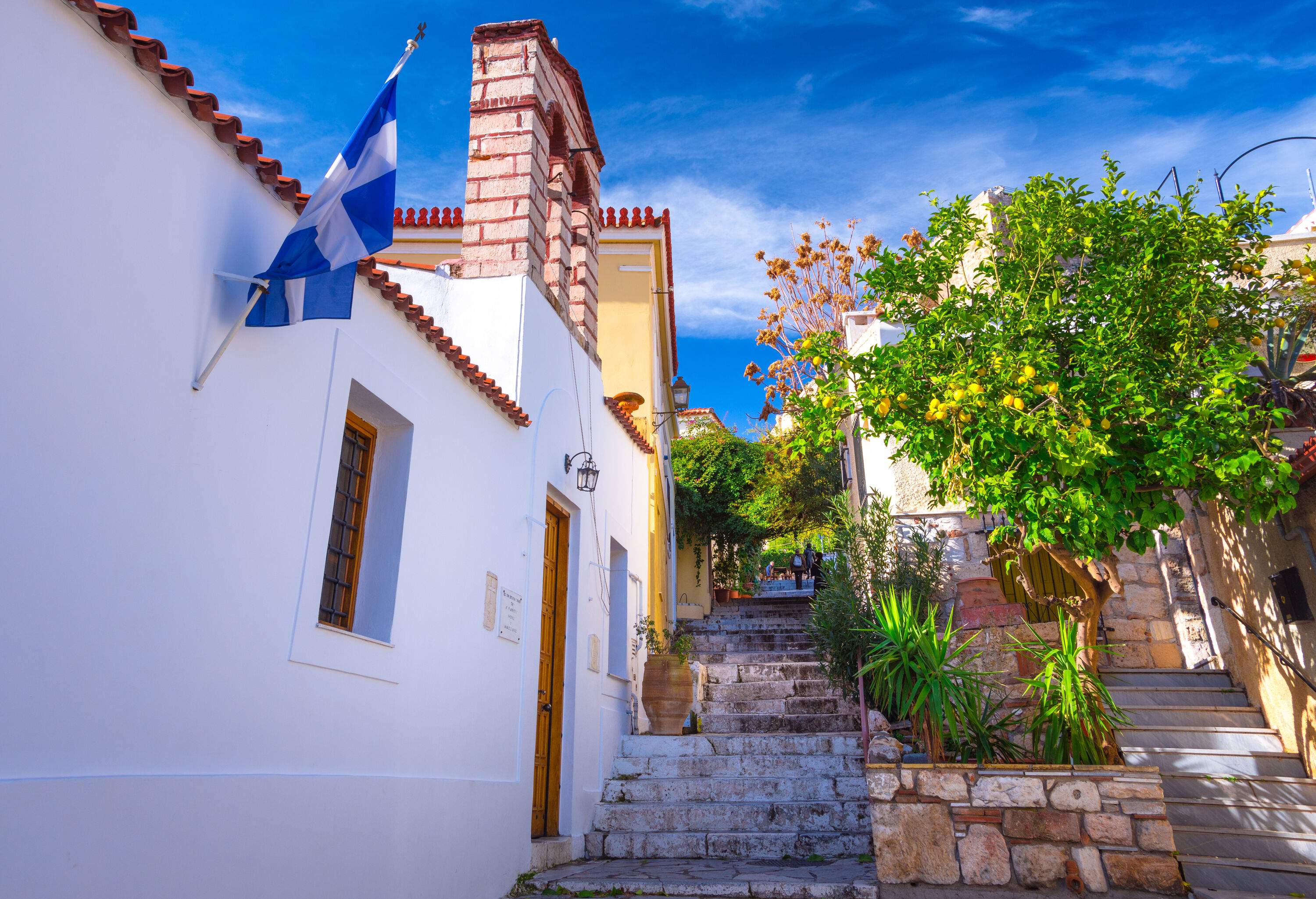A neighbourhood with houses along the side of street stairs.