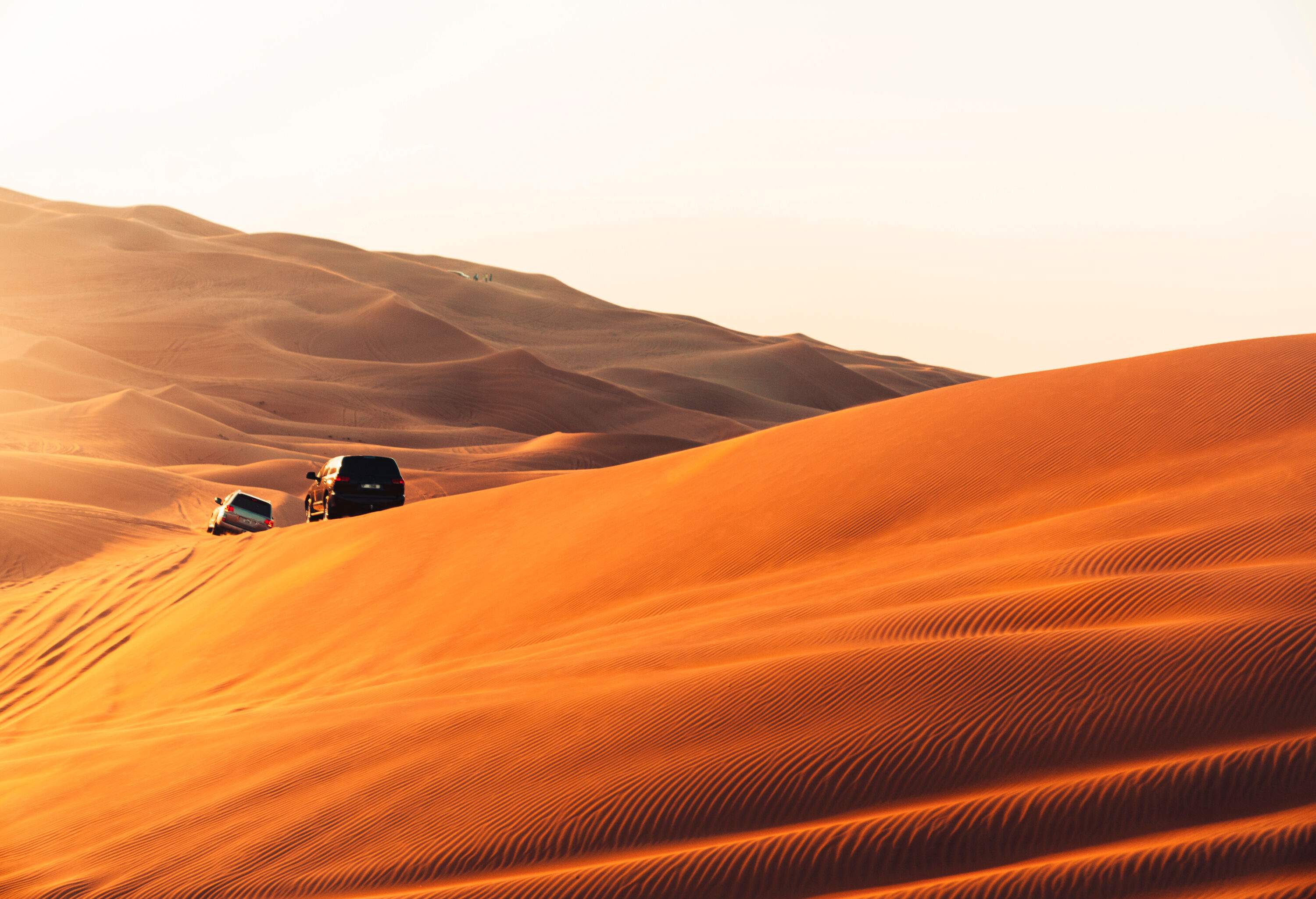 Two cars are driving along the golden dune in the middle of the desert.