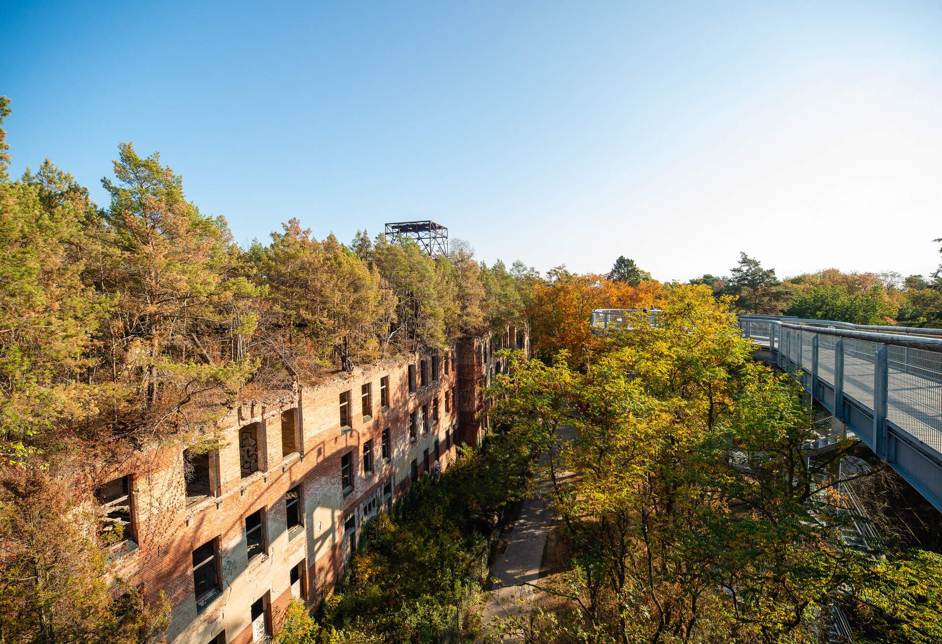A treetop trail winding through the ruins of a hospital building.