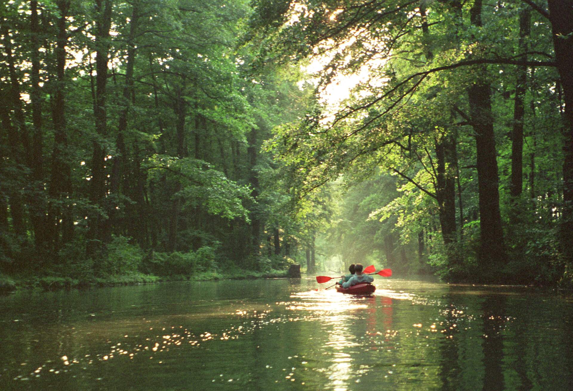 Two people in a red canoe are paddling on a lake lined with tall green trees in a forest.