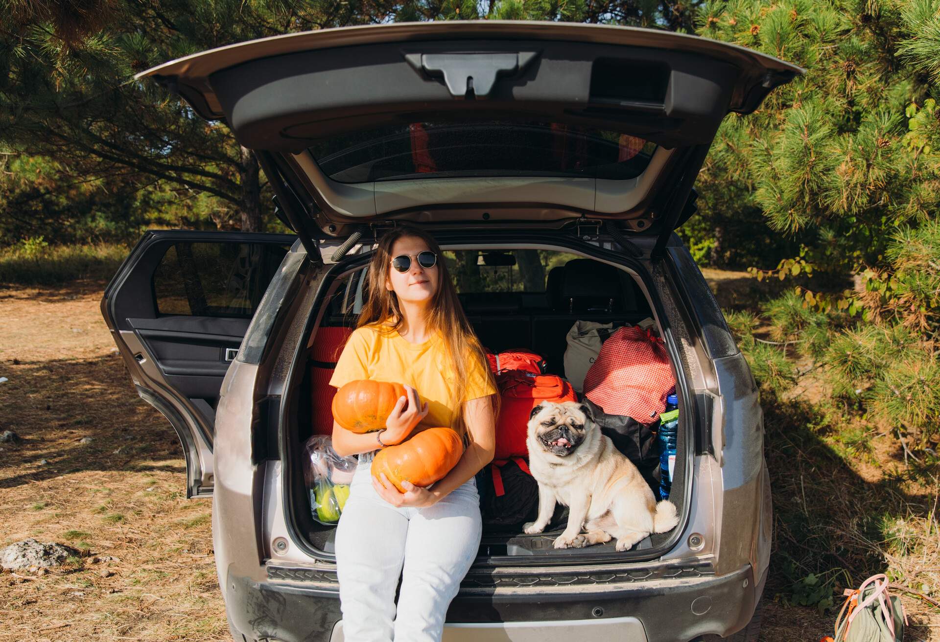 A woman sitting at the back of her car holds two pumpkins next to her pug.